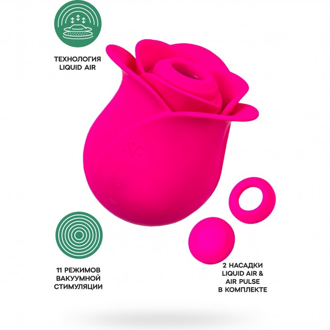 Вакуум-волновой стимулятор клитора SATISFYER PRO 2 MODERN BLOSSOM силикон бордовый 6,6 см 4065861 Вакуум-волновой стимулятор клитора SATISFYER PRO 2 MODERN BLOSSOM силикон бордовый 6,6 см 4065861